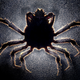 Image for article titled These parasite bugs can control their hosts' brains from inside